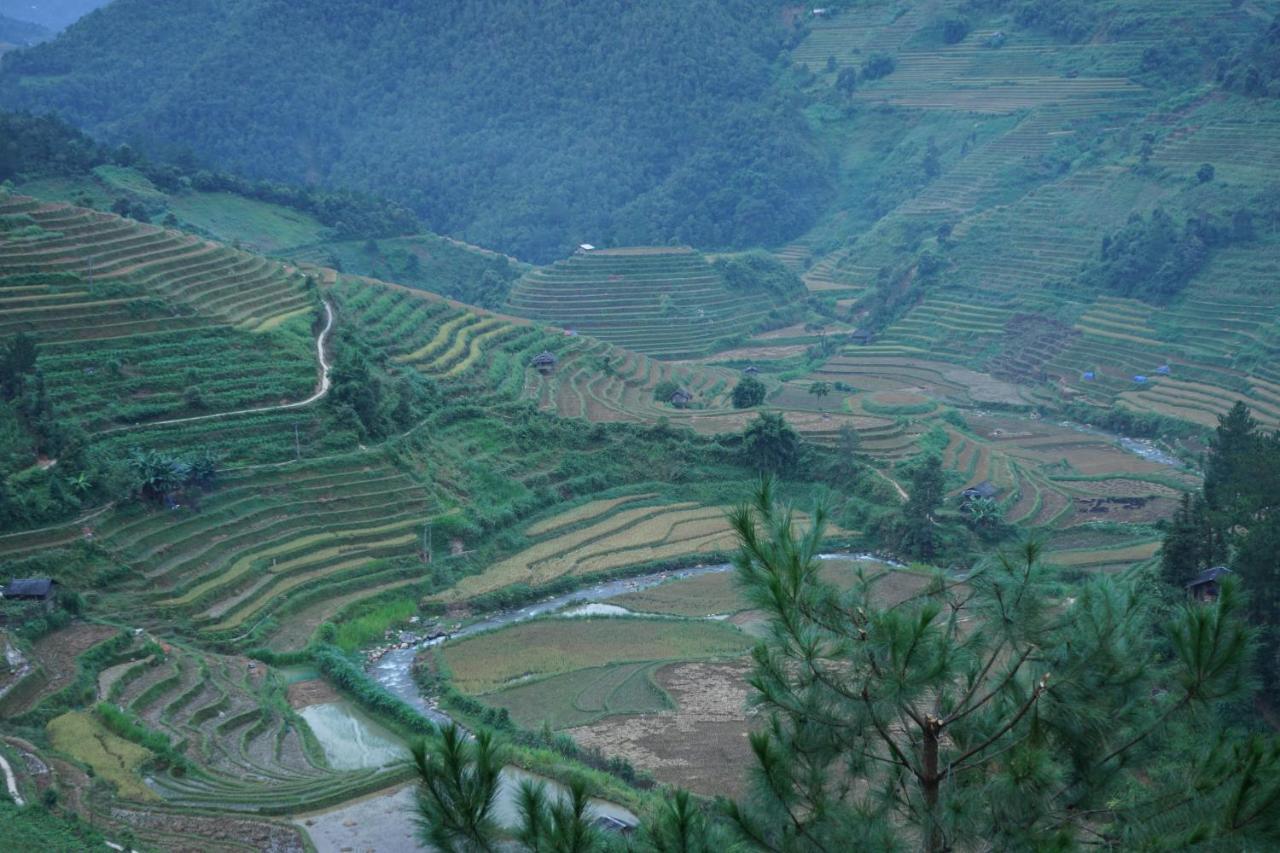Hello Mu Cang Chai Homestay & Tours Buitenkant foto