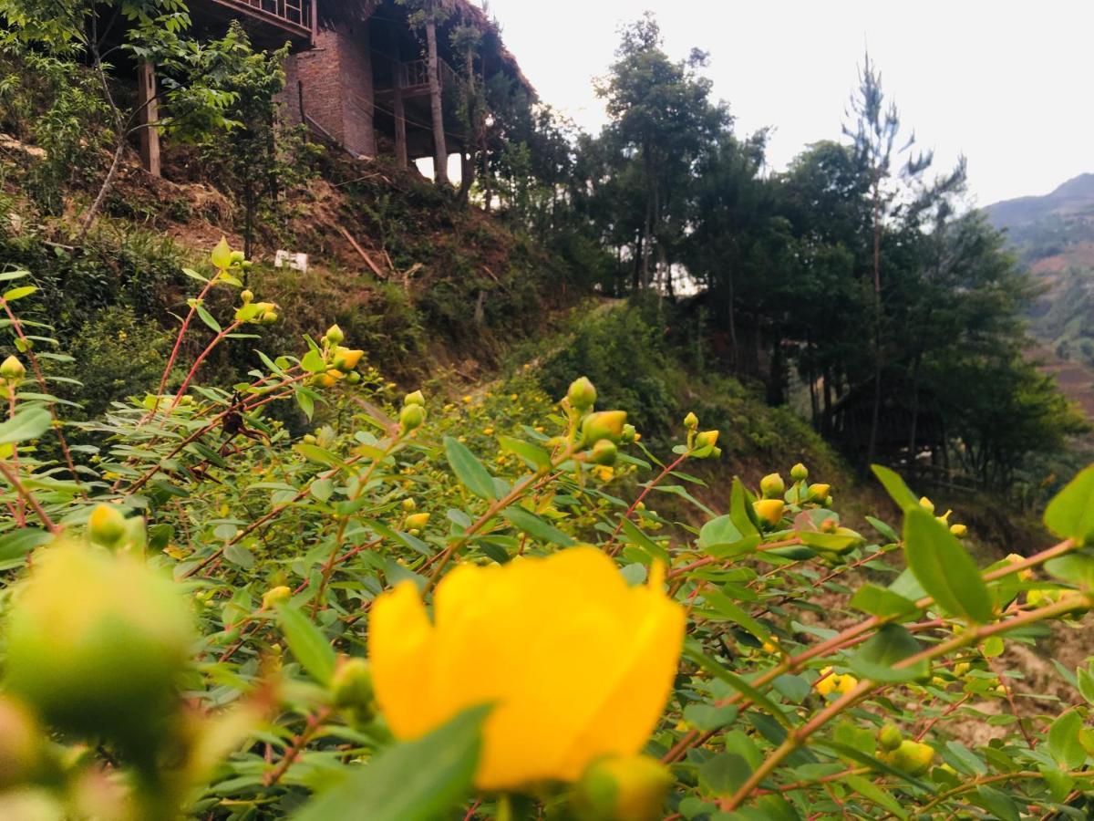 Hello Mu Cang Chai Homestay & Tours Buitenkant foto