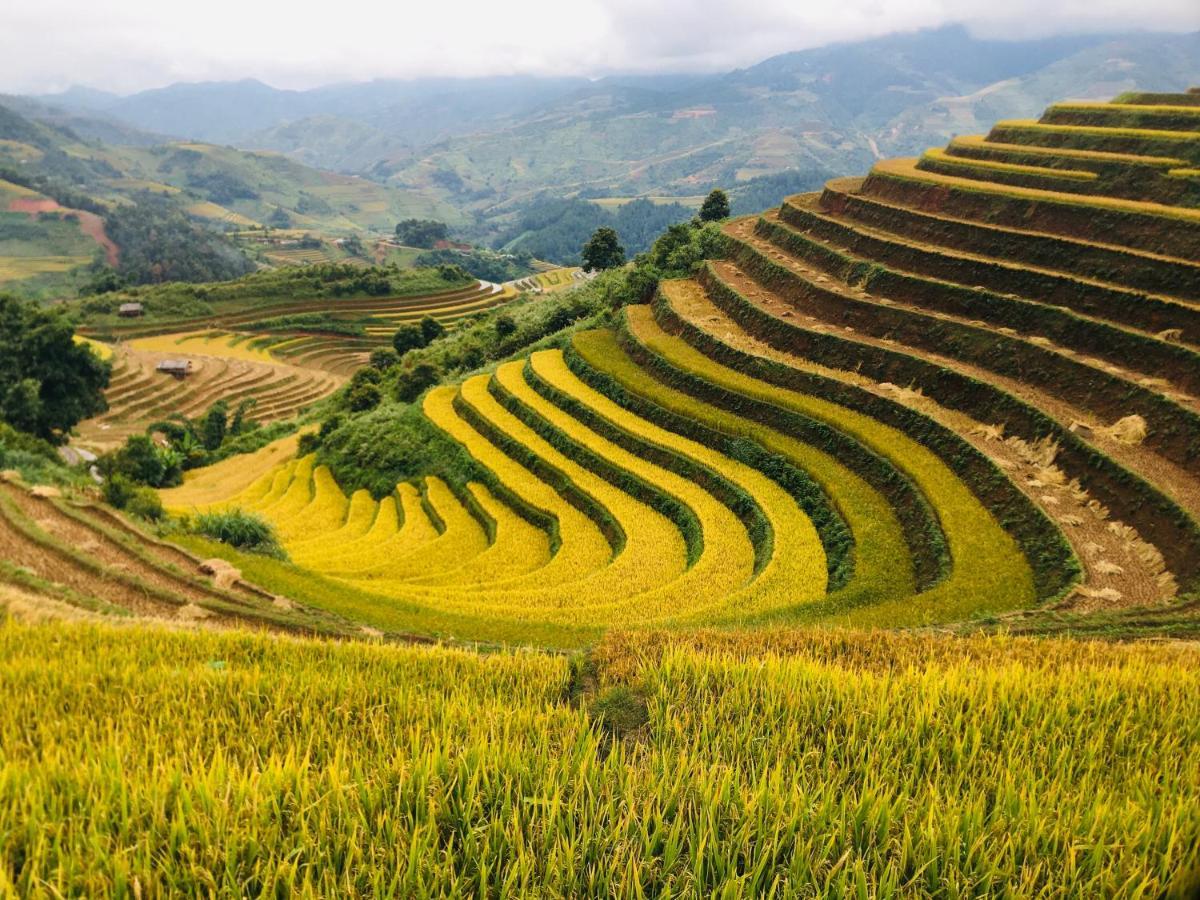 Hello Mu Cang Chai Homestay & Tours Buitenkant foto