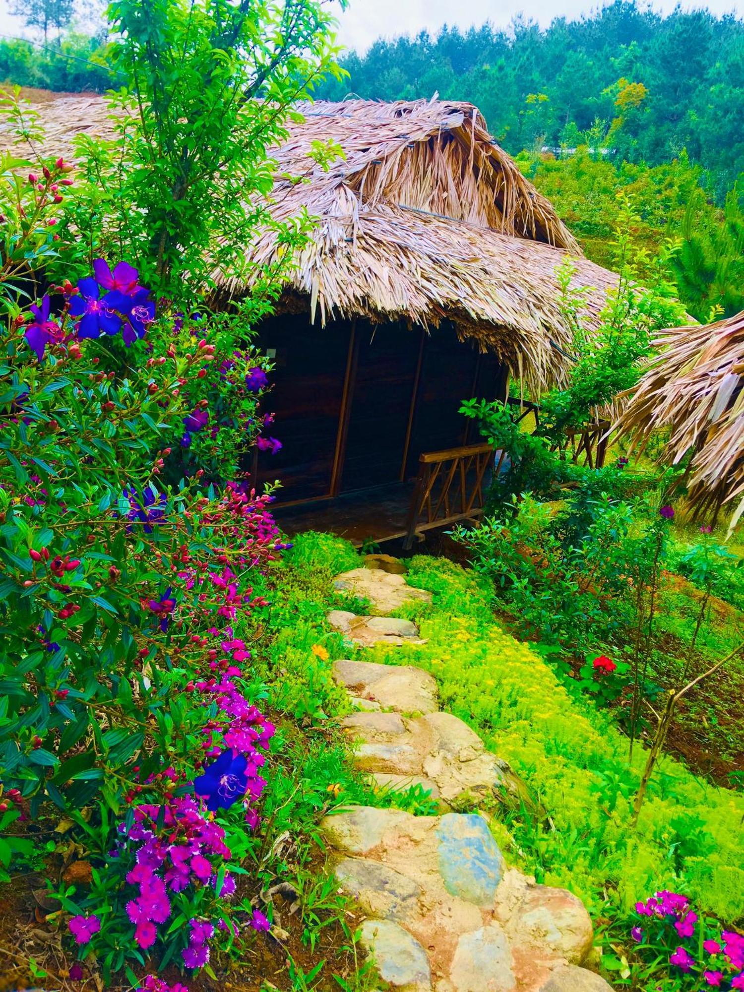 Hello Mu Cang Chai Homestay & Tours Buitenkant foto