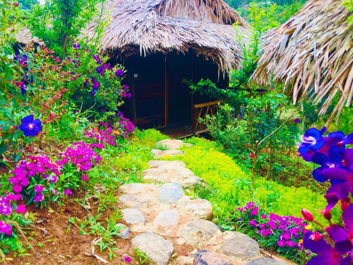 Hello Mu Cang Chai Homestay & Tours Buitenkant foto