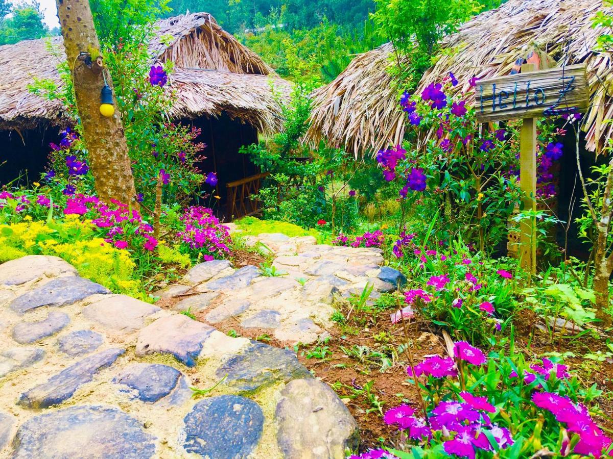 Hello Mu Cang Chai Homestay & Tours Buitenkant foto
