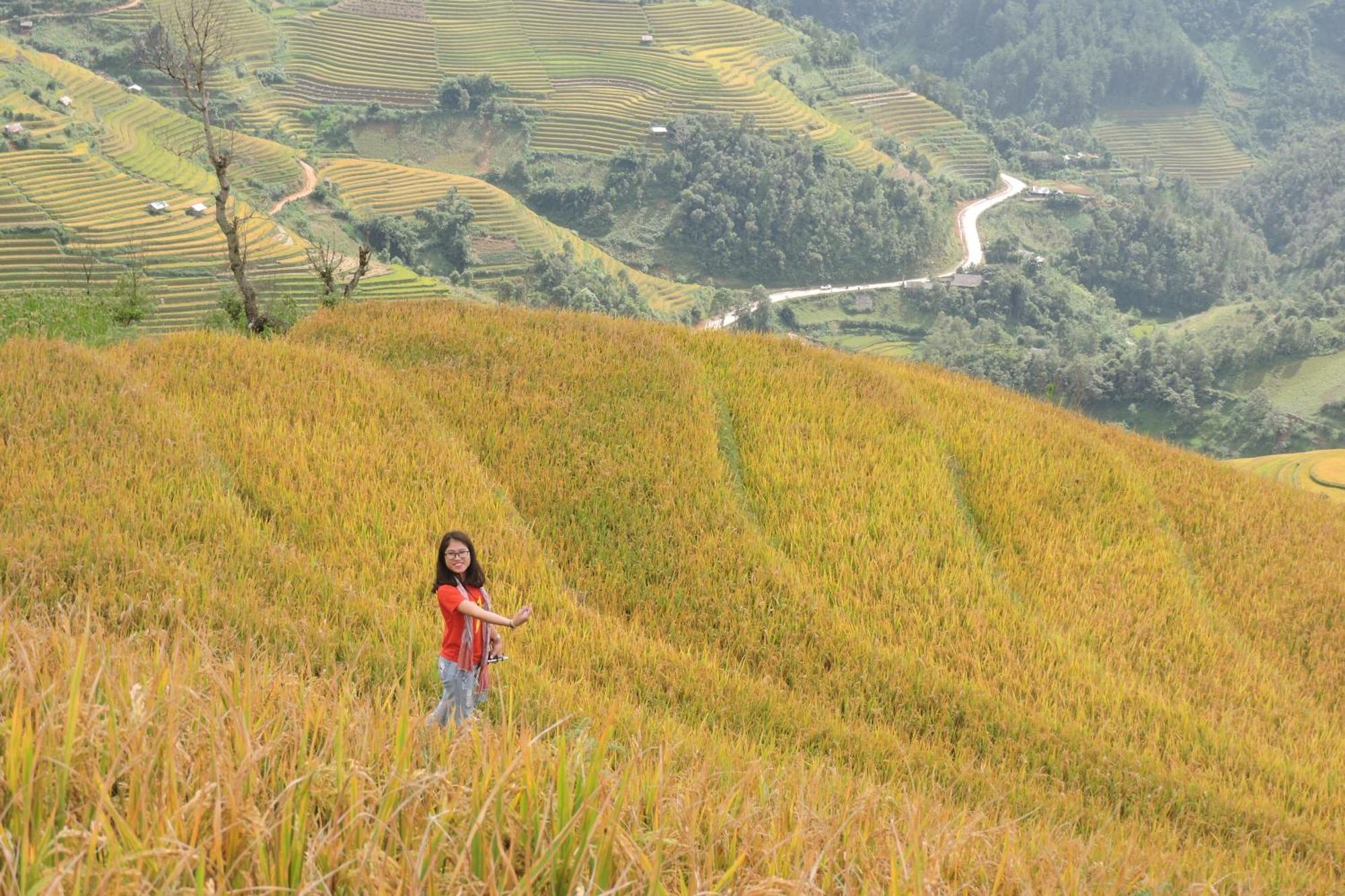 Hello Mu Cang Chai Homestay & Tours Kamer foto