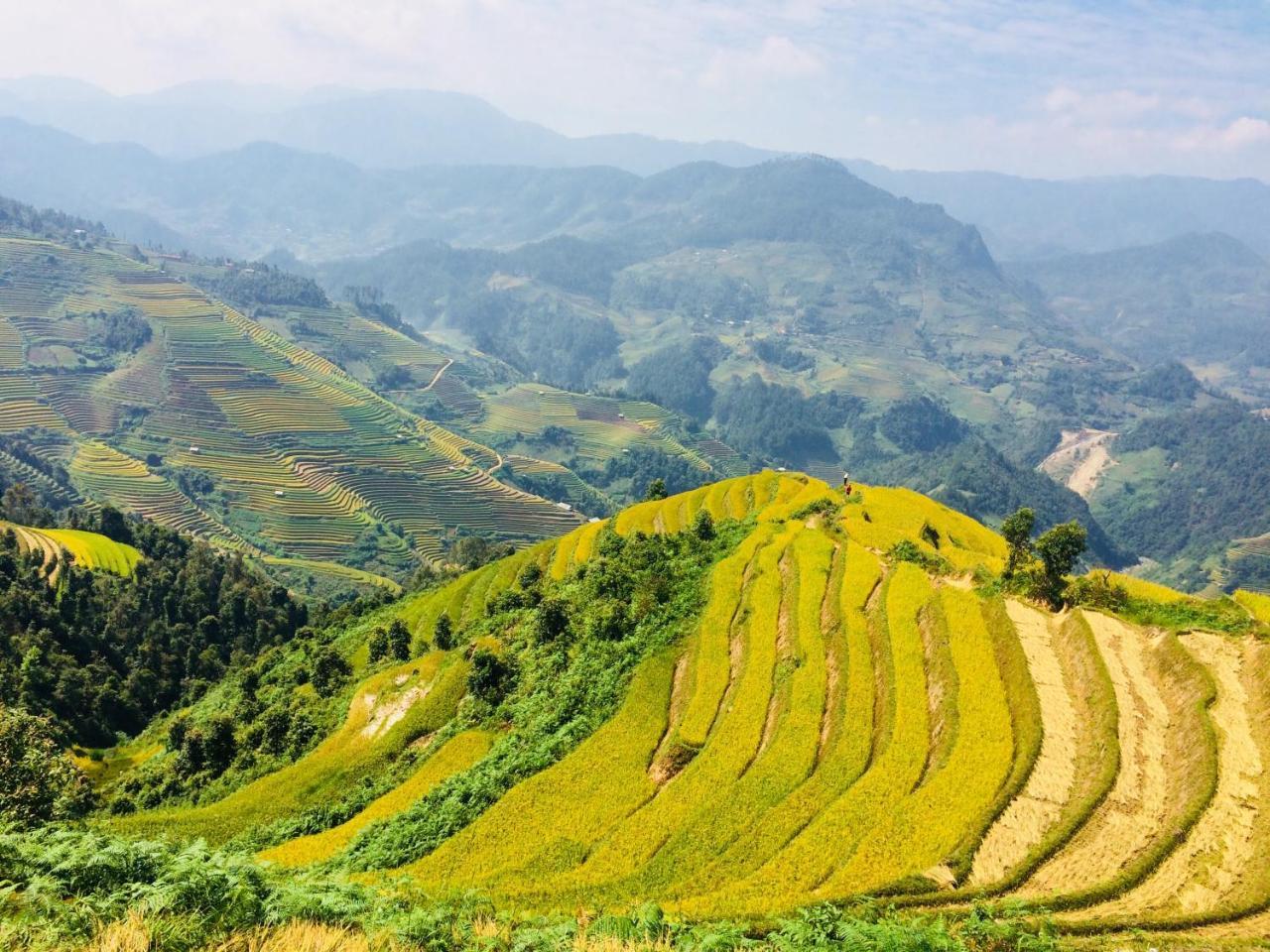 Hello Mu Cang Chai Homestay & Tours Buitenkant foto