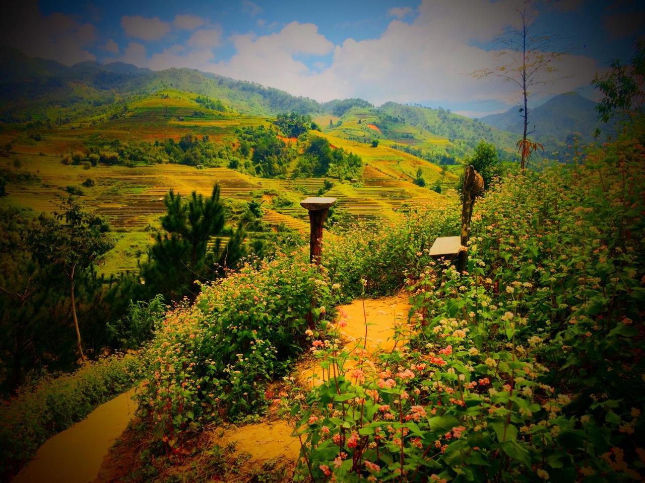 Hello Mu Cang Chai Homestay & Tours Buitenkant foto