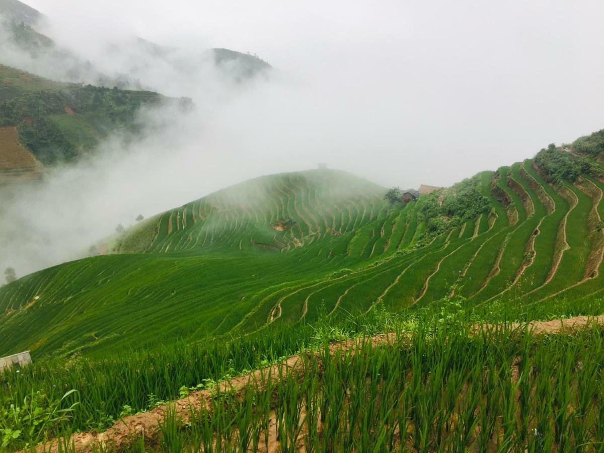 Hello Mu Cang Chai Homestay & Tours Buitenkant foto